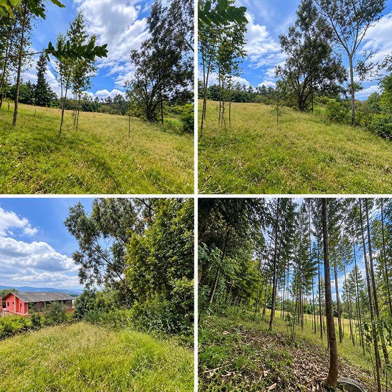 Lote Cogua, Cundinamarca